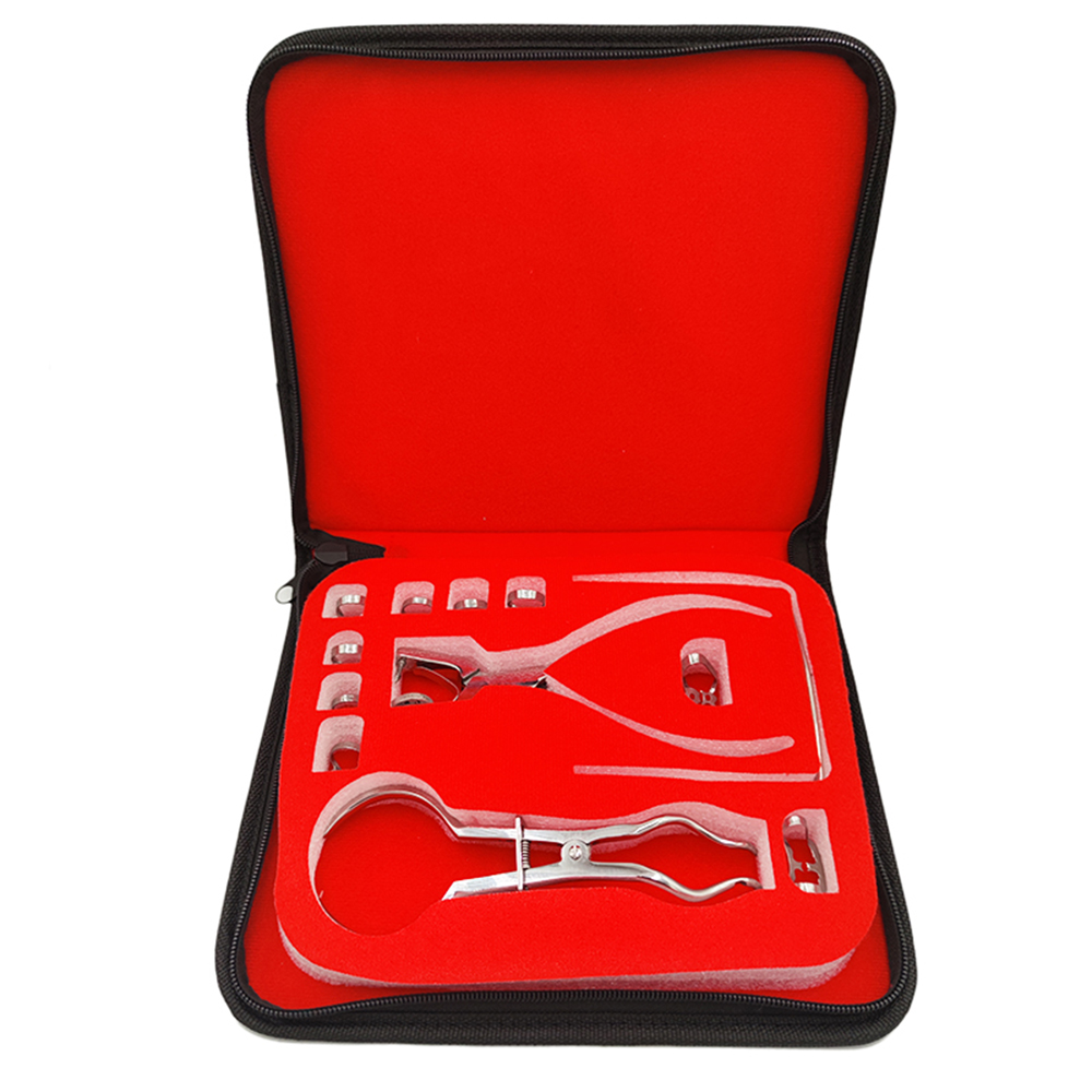 Set di punzoni per diga per od - Leatherwork Punching Tool recensione e prezzo